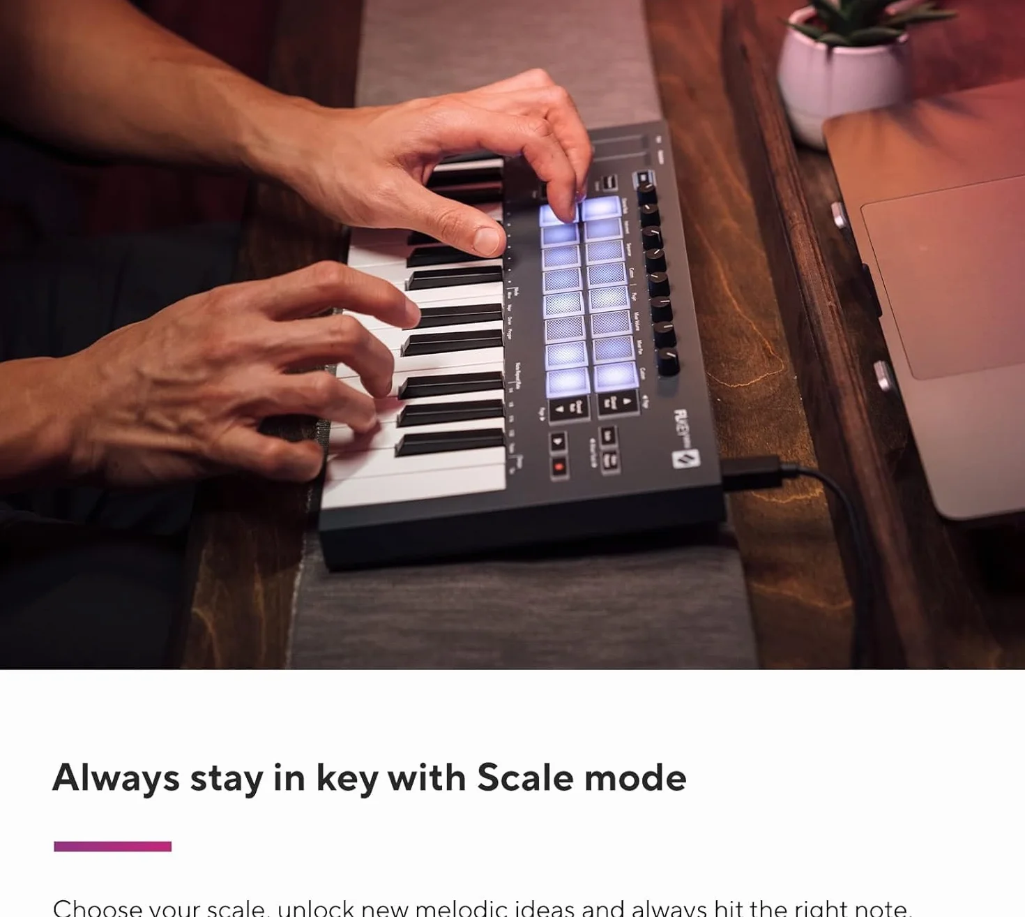Novation FLkey Mini, controlador de teclado MIDI portátil de 25 teclas con USB e integración con FL Studio para la producción musical, Negro