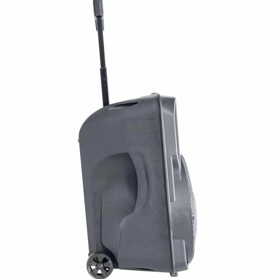 Party Light & Sound PARTY-10RGB - PARTY LIGHT & SOUND - Altavoz a pilas de 10'/25cm 400W RMS con 1 micrófono con cable y efecto de luz en el woofer - Bluetooth, USB y AUX - Negro