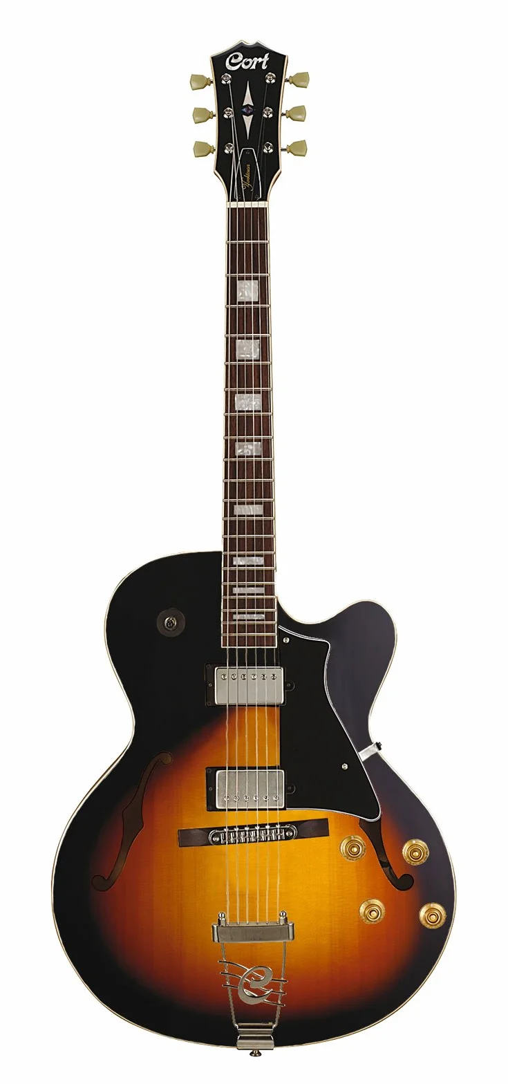 Guitarra eléctrica yorktown w/bag