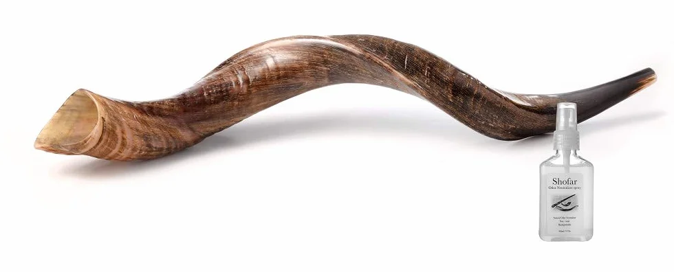 Shofar de cuerno de kudú yemení con spray antiolor gratuito, guía shofar de Israel (76-81 cm (30"-32 pulgadas)), natural)