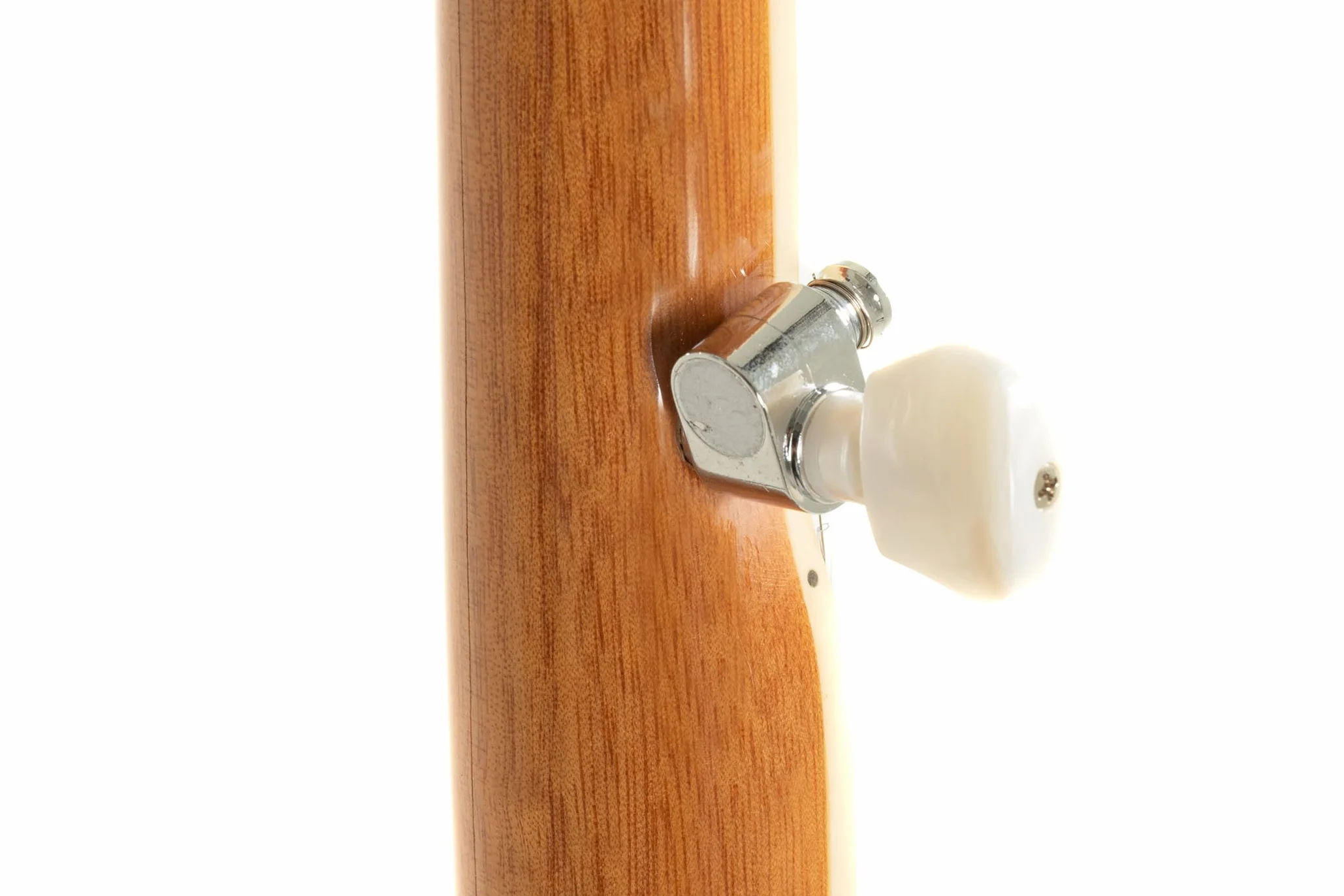 Gewa 505020 Banjo Select 5 Cuerdas, Parche Original Remo, con Estuche