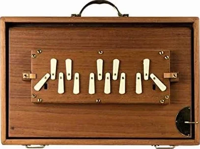 Shruti Box Instrumento musical, M2 Low G Shruti Box con bolsa de transporte