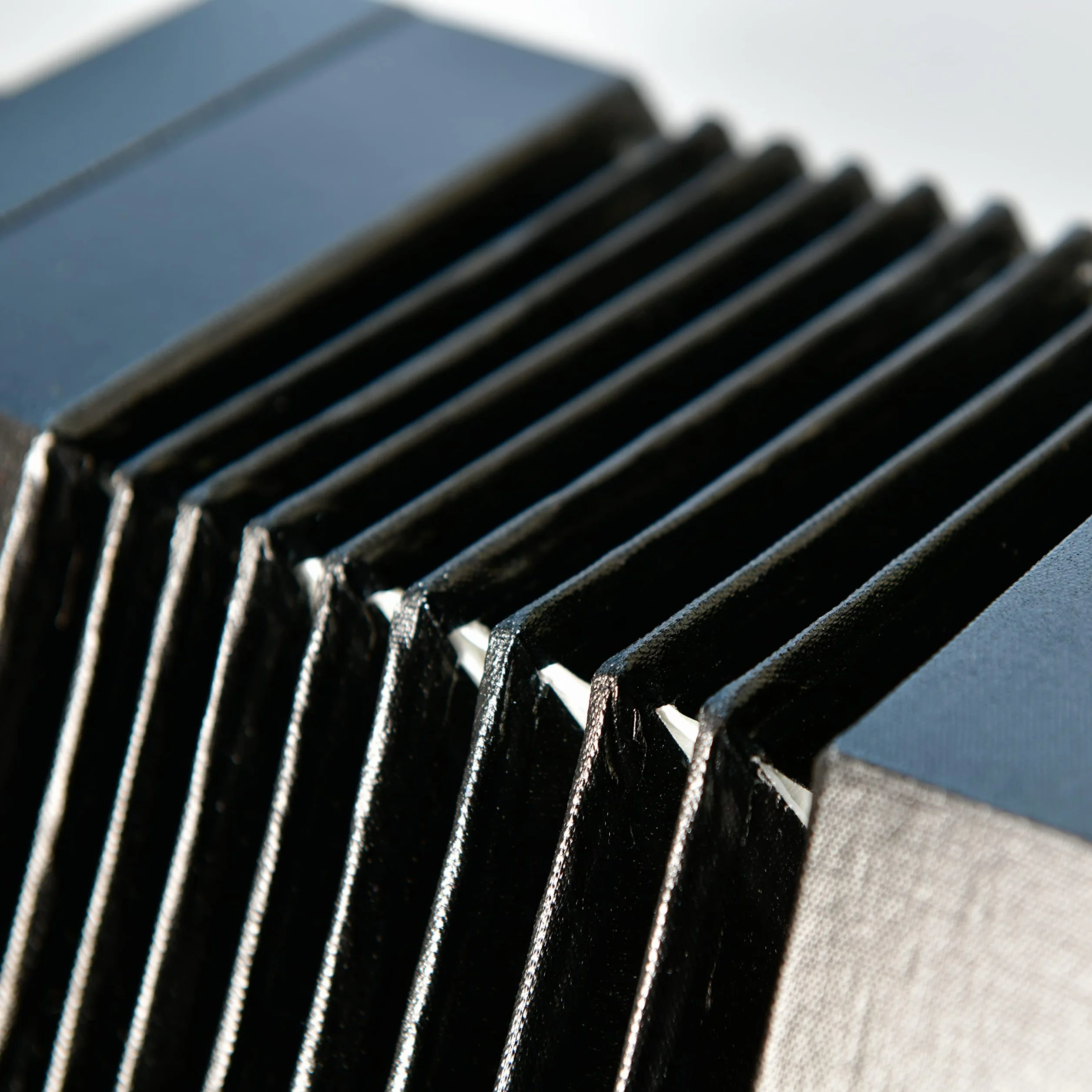 Trinity College Concertina (AP-1130A), color negro