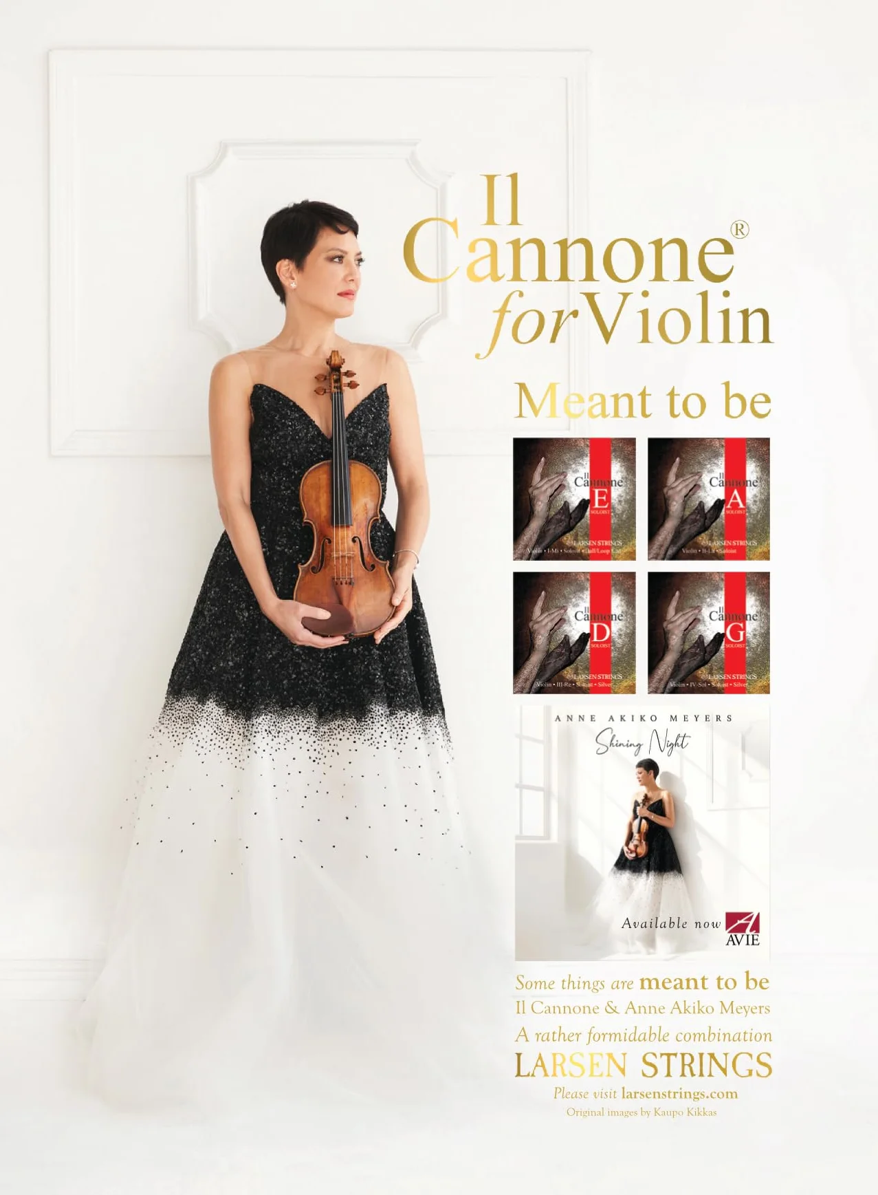 LARSEN STRINGS Violin Saiten II Cannone - 4/4 Violín - Solista - Juego de 4 cuerdas, tensión 24,5 kg/53.9 lbs