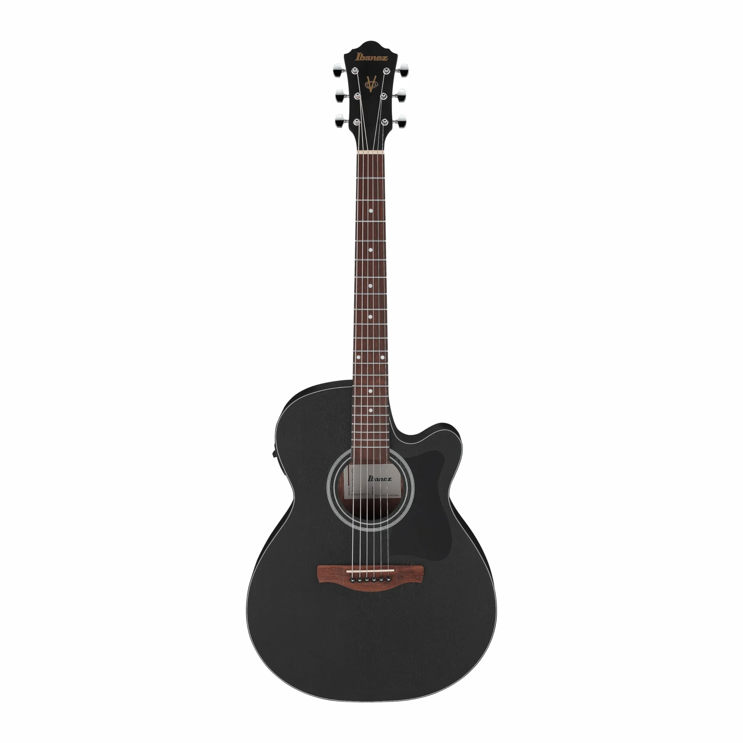 Ibanez Acoustic Guitar / VC44CEWK
