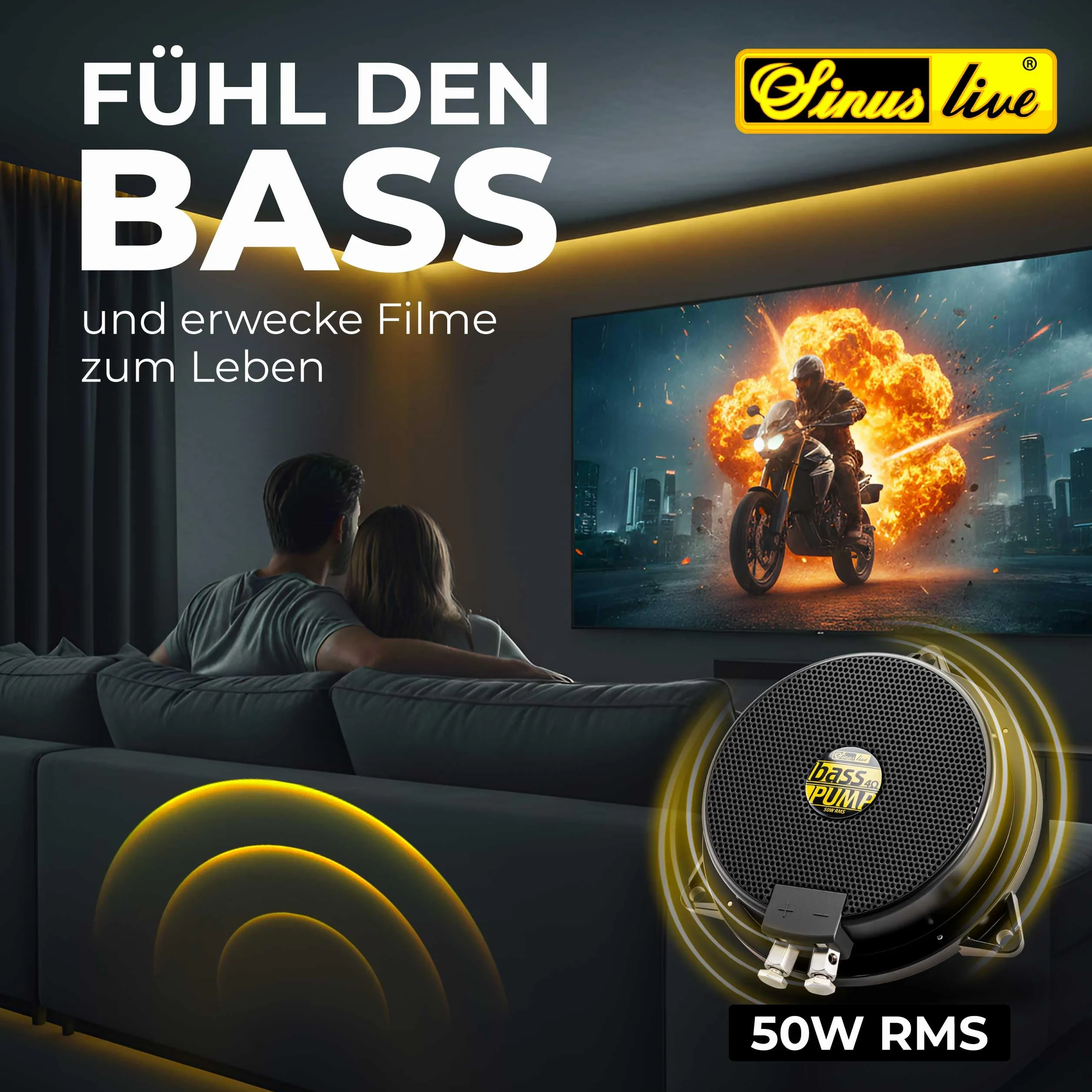 ProfiHiFi Sinuslive BassPUMP III 4 Ohm 130 x 50 mm