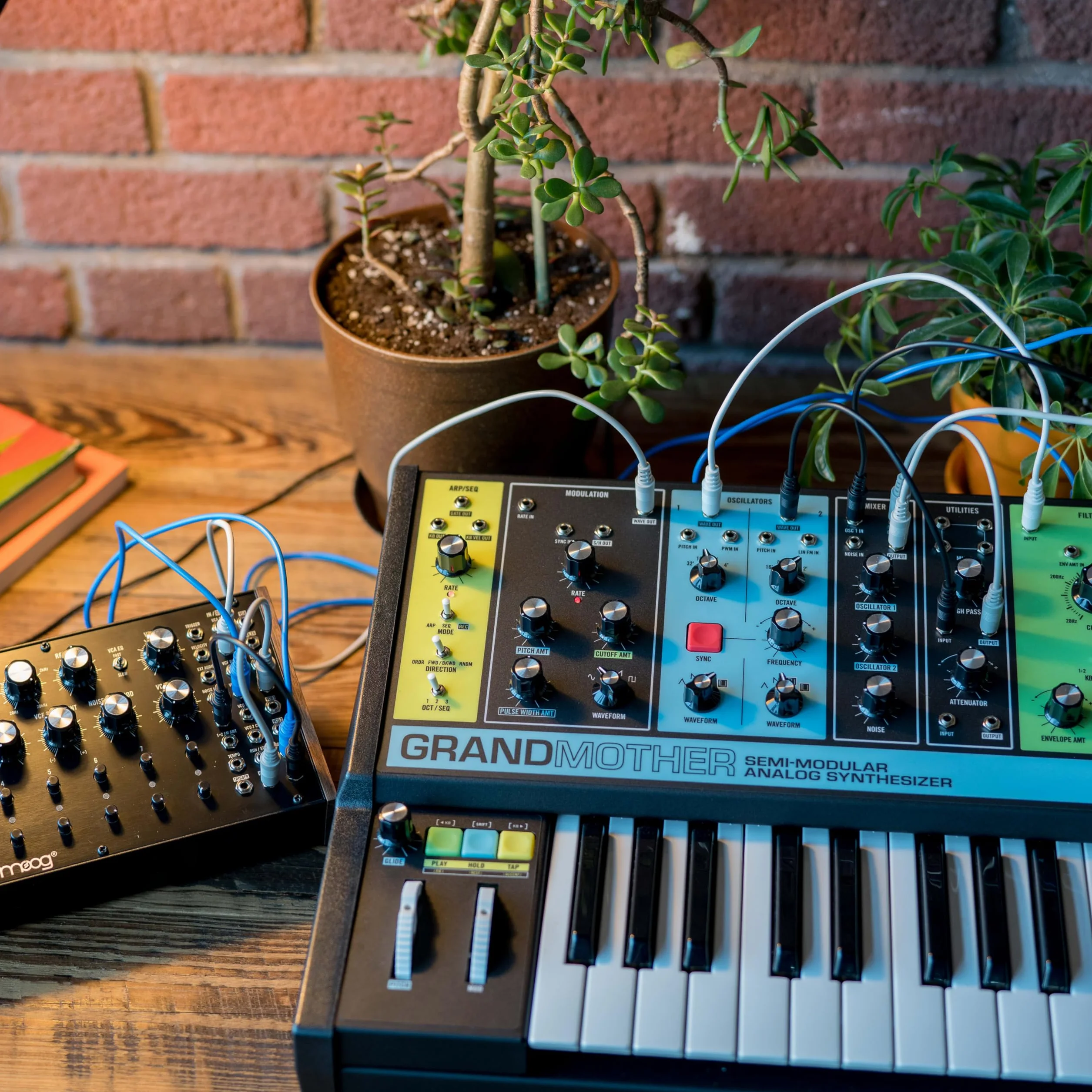 MOOG Grandmother - Sintetizador Semimodular de Teclado Analógico con 32 Teclas, Arpegiador, Secuenciador y Tanque de Reverb de Muelles Integrados