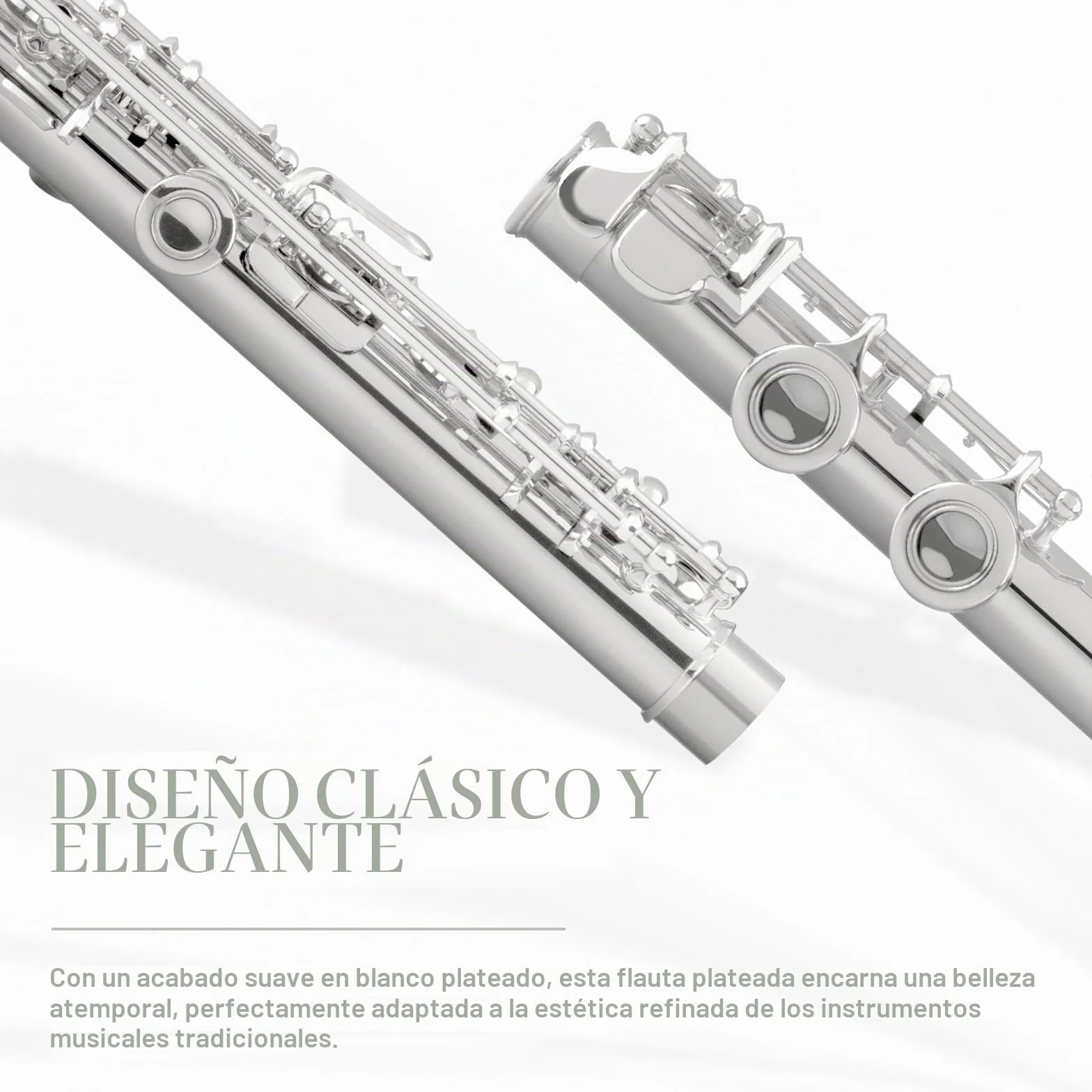 SONICAKE Flauta C de agujeros cerrados 16 llaves para principiantes y estudiantes plateado con estuche rígido, guantes, varilla de afinación QFL-11
