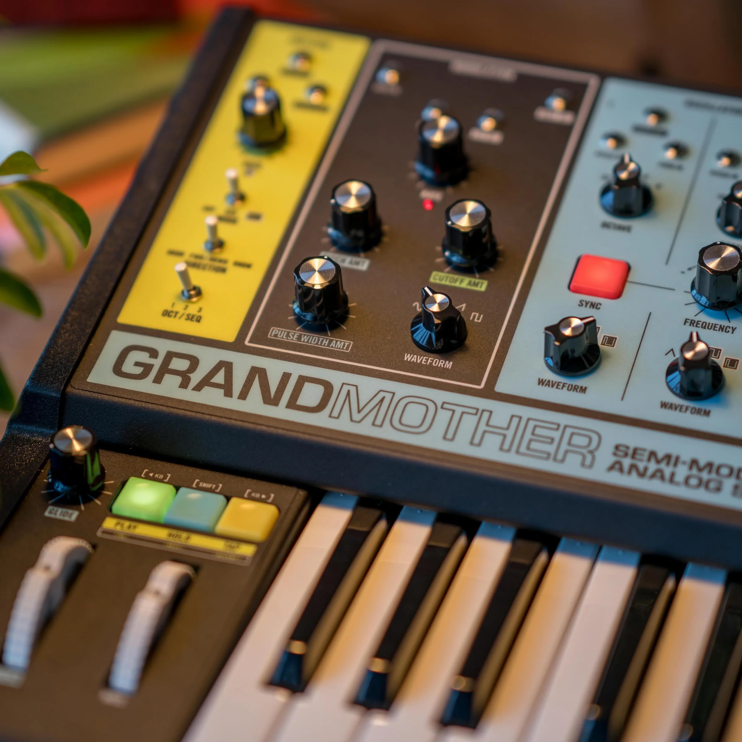MOOG Grandmother - Sintetizador Semimodular de Teclado Analógico con 32 Teclas, Arpegiador, Secuenciador y Tanque de Reverb de Muelles Integrados