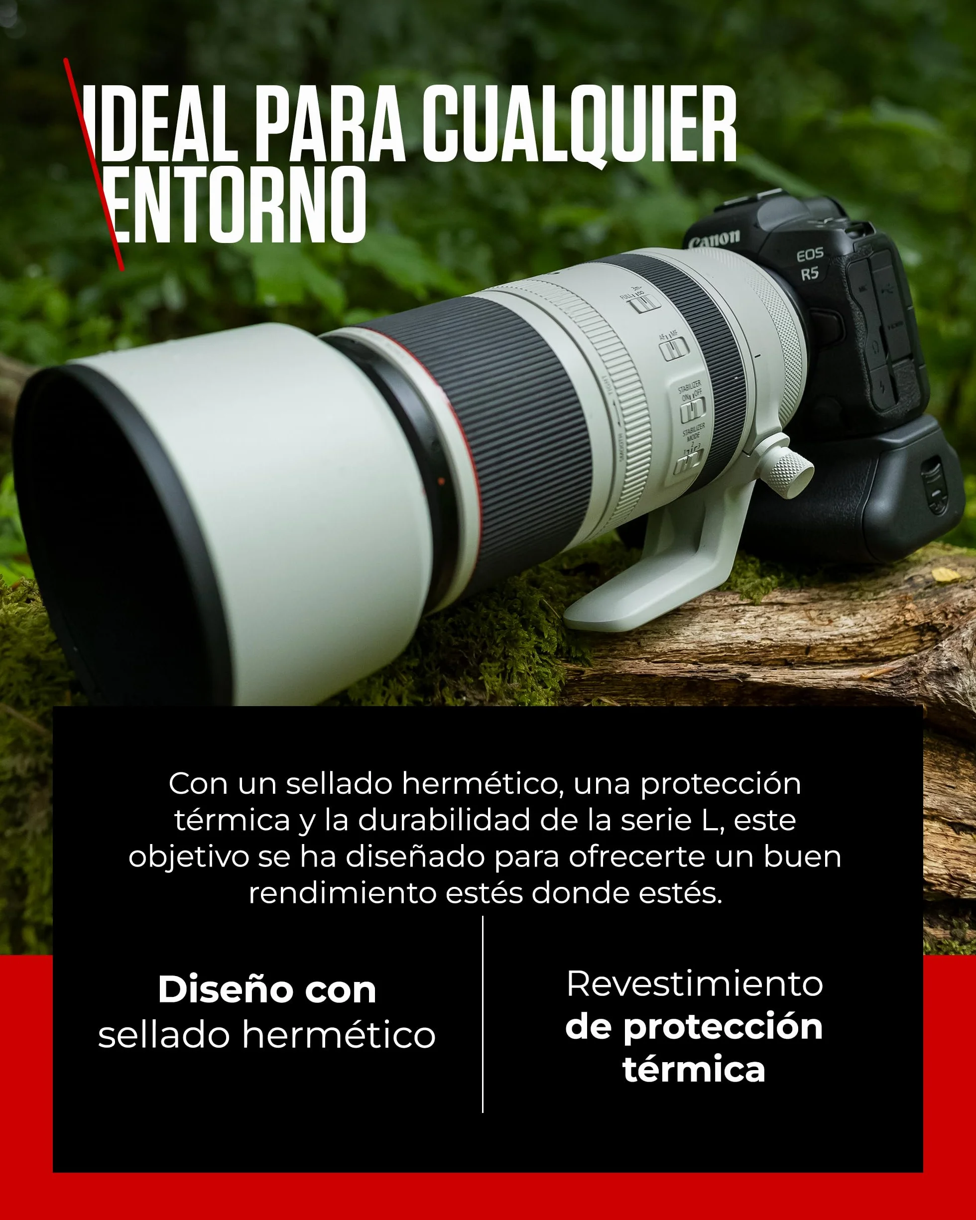 Canon Objetivo RF 100-500mm F4.5-7.1L IS USM - Lente Zoom Teleobjetivo Serie L, Ideal en Viaje y Naturaleza, Ligero, AF de Motores USM y estabilizador óptico 5 Pasos, Compatible Sistema EOS R, Negro