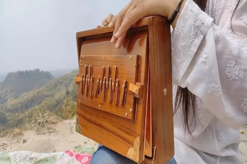 Caja Shruti de madera de teca pura de 30,5 cm, instrumento musical con bolsa, llaves de madera, caja Shruti 432Hz afinada
