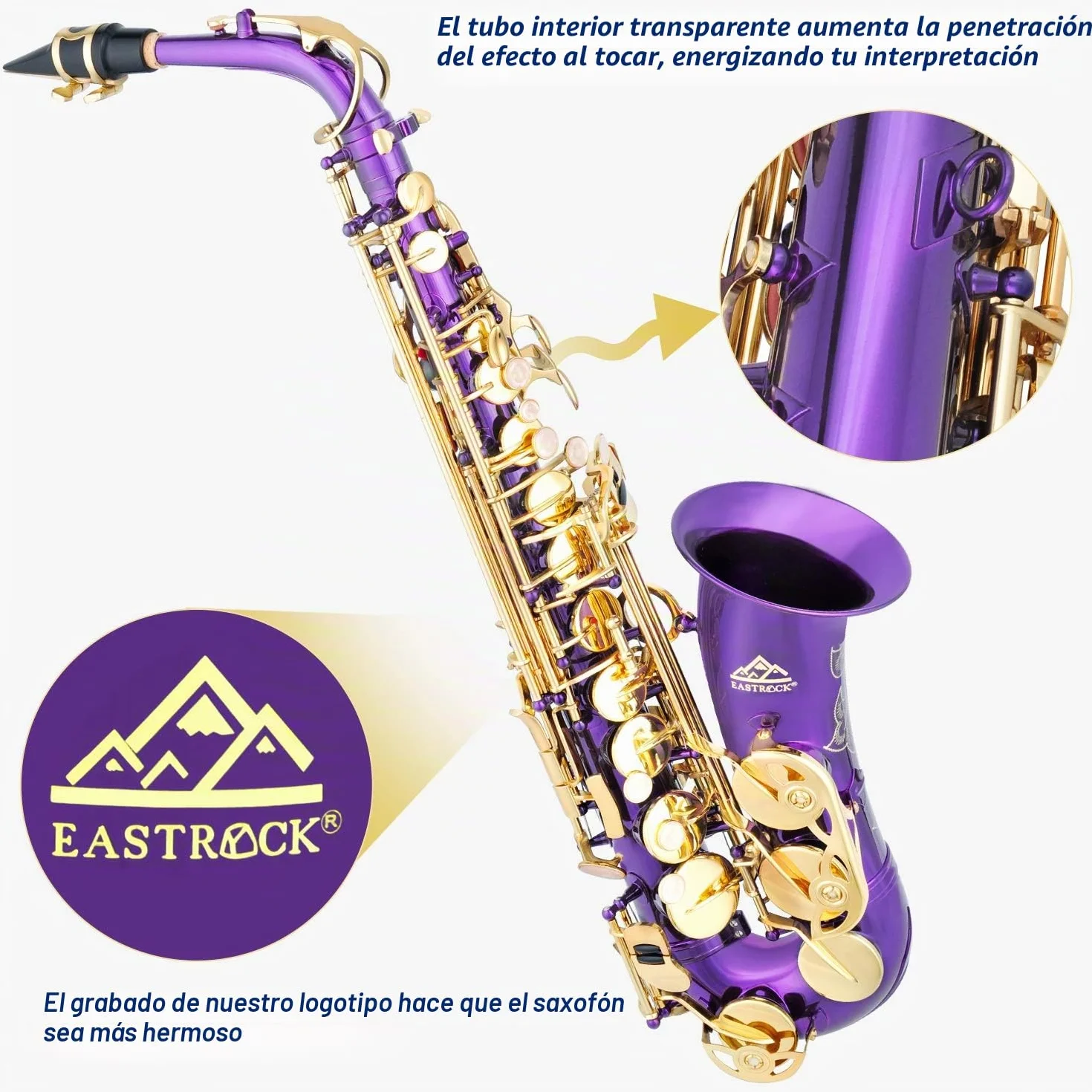 EASTROCK Kit completo de saxofón alto e plano para estudiantes principiantes con funda de transporte, boquilla, almohadillas para boquilla, guantes blancos, correa para el cuello