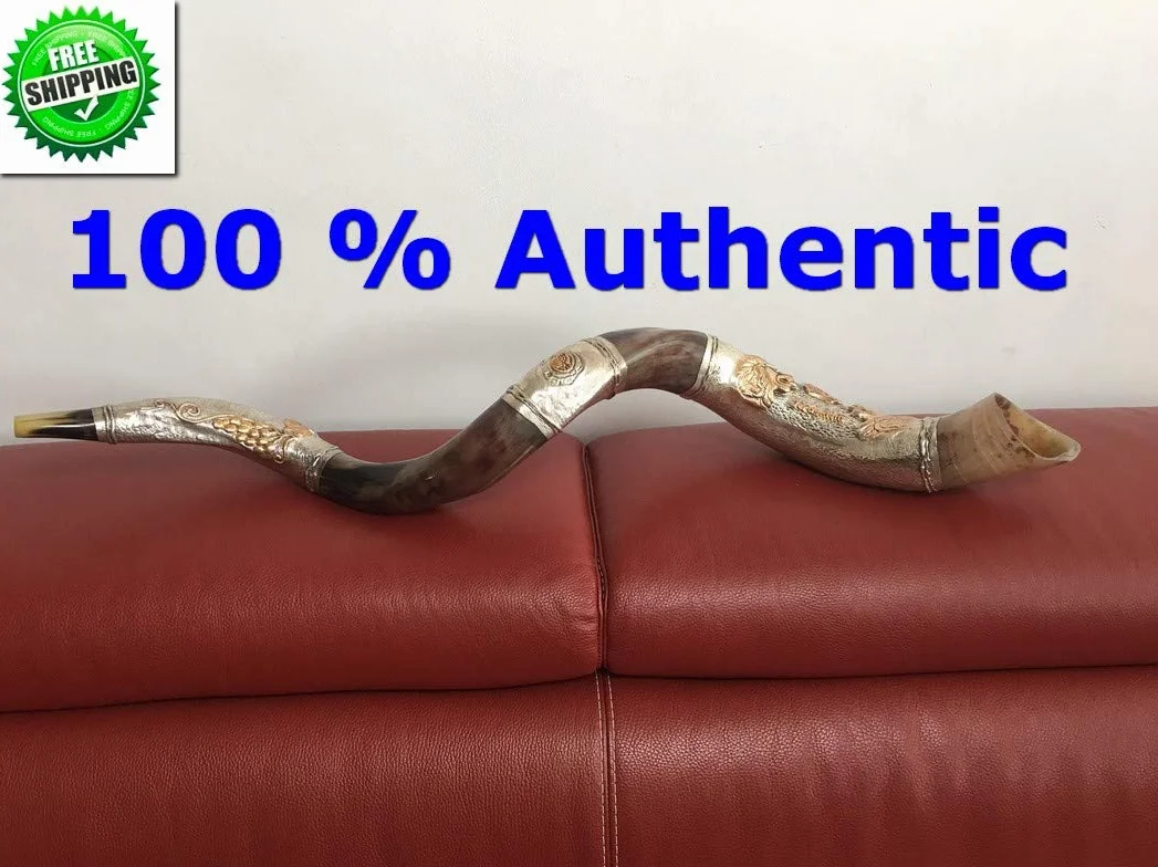 Silver - plated 44"- 45" Yemenite Horn Amazing Shofar Kudu Lion