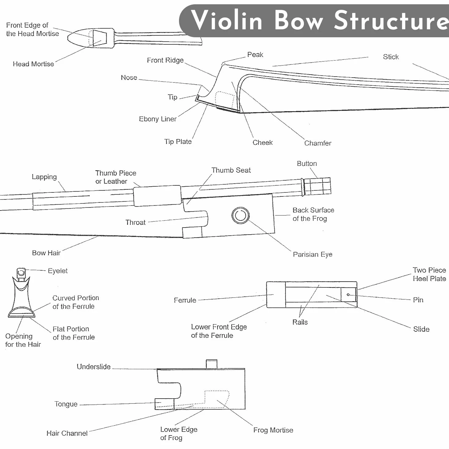 Viotti Arco de violín de fibra de carbono, hecho a mano por fabricantes profesionales de violines y arcos, fuerte, rígido y bien equilibrado, fabricado con pelo de caballo mongol, para violinistas y