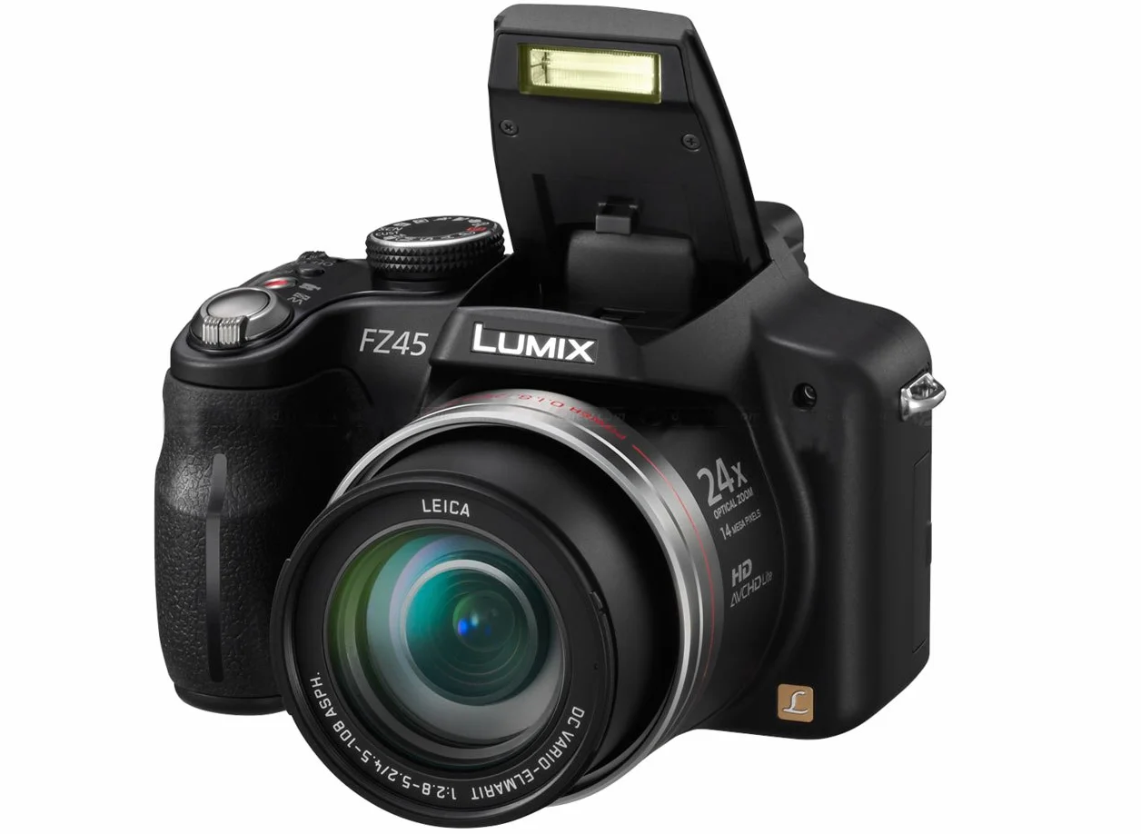 Panasonic Lumix DMC-FZ45 Cámara Digital Bridge 14 Megapíxeles Negro