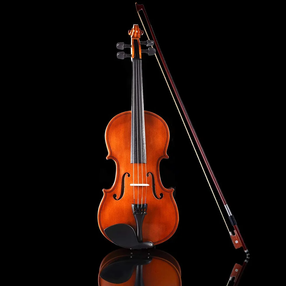 Aileen Violín 4/4 Set para Principiantes Violín para Niños con Manual de Usuario