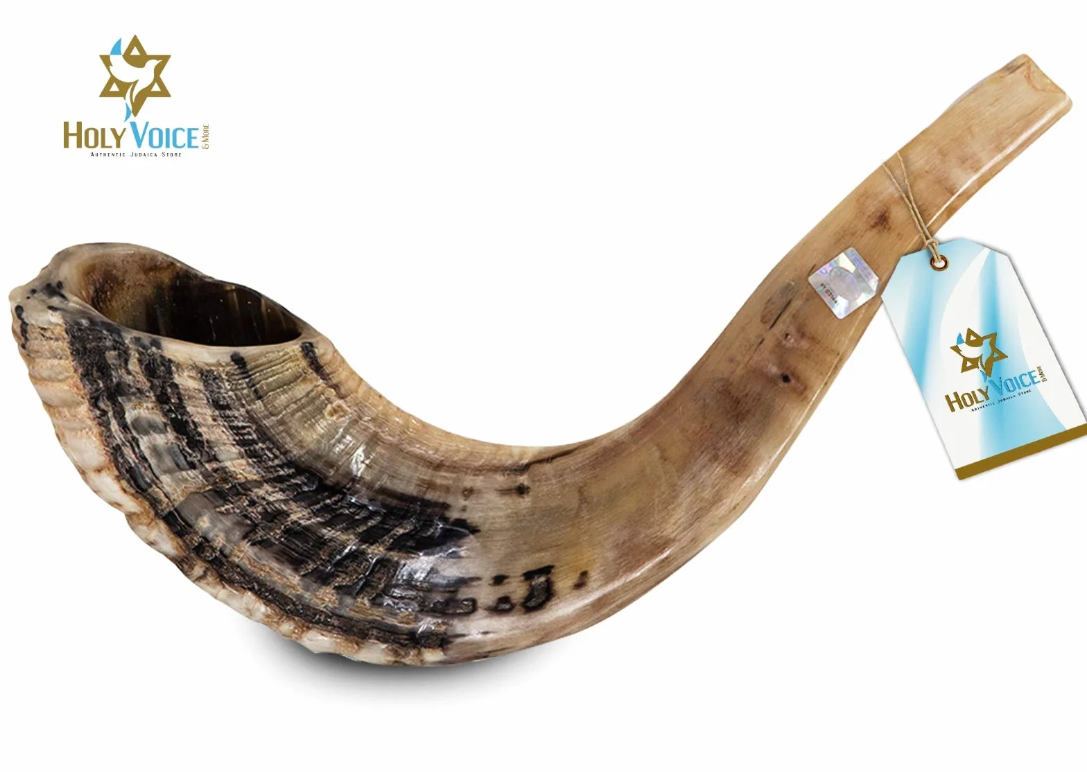 Holy Voice Cuerno kosher Ram Shofar de Israel de 12 a 14 pulgadas tradicional medio pulido, instrumento musical judío antiguo de Tierra Santa, boquilla suave para un fácil soplado, sonido claro Shofar
