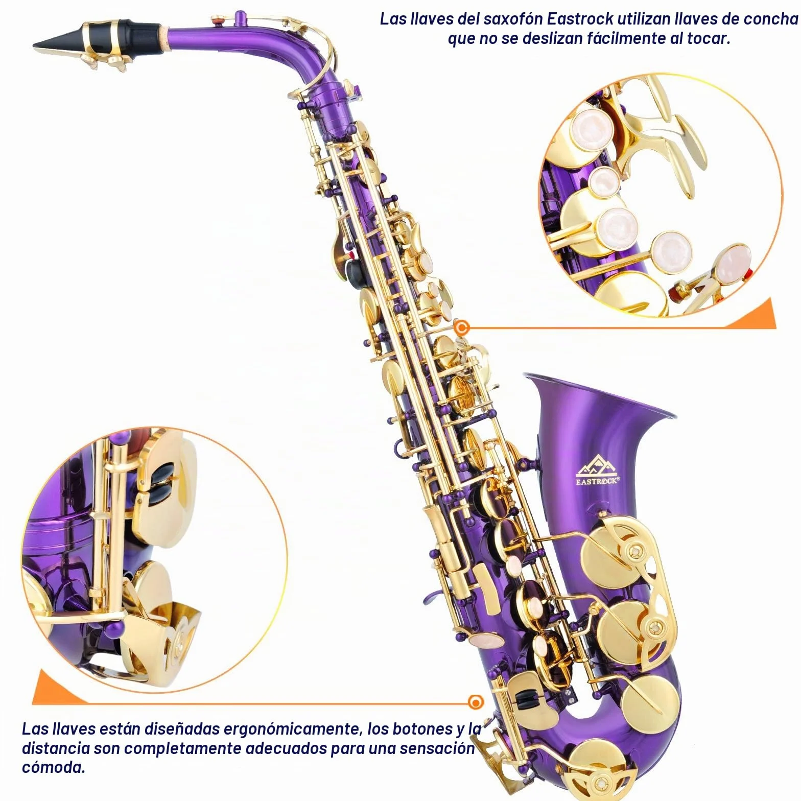 EASTROCK Kit completo de saxofón alto e plano para estudiantes principiantes con funda de transporte, boquilla, almohadillas para boquilla, guantes blancos, correa para el cuello