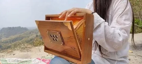 Caja Shruti de madera de teca pura de 30,5 cm, instrumento musical con bolsa, llaves de madera, caja Shruti 432Hz afinada