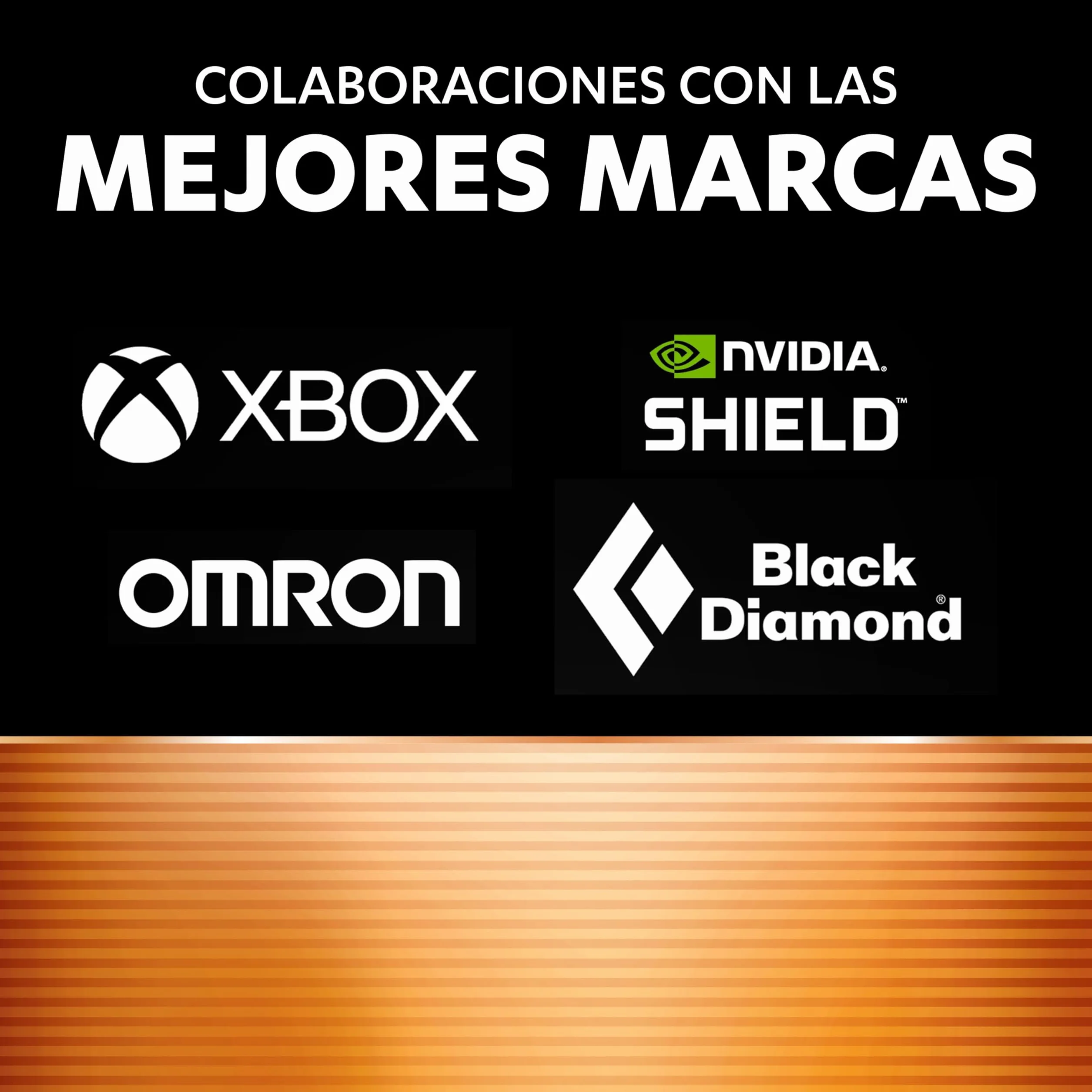 DURACELL Plus Pilas AA 1,5 V Alcalinas Paquete 36 MN1500