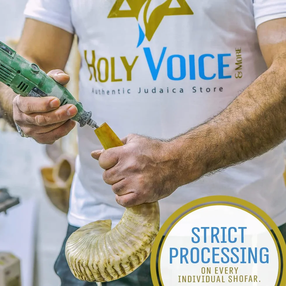Holy Voice Cuerno kosher Ram Shofar de Israel de 12 a 14 pulgadas tradicional medio pulido, instrumento musical judío antiguo de Tierra Santa, boquilla suave para un fácil soplado, sonido claro Shofar