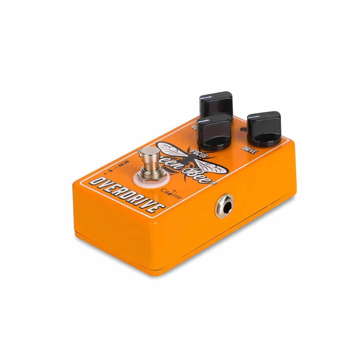 Caline CP-503 Queen Bee Overdrive Pedal