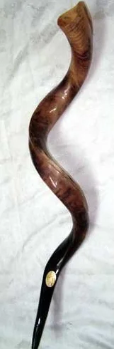 Shofar (instrumento tipo trompeta) de origen judío-yemení, hecho de cuerno de antílope, totalmente pulido, aprox. 71,1-76,2 cm de longitud
