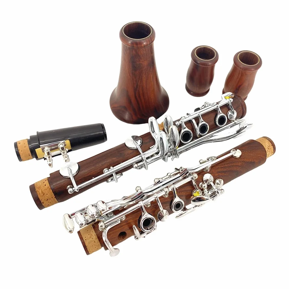 Clarinete de palisandro Bb con teclas plateadas, estuche duro y kit de cuidado con tono rico - Opción asequible para principiantes y estudiantes intermedios, óptima para entrenamiento de
