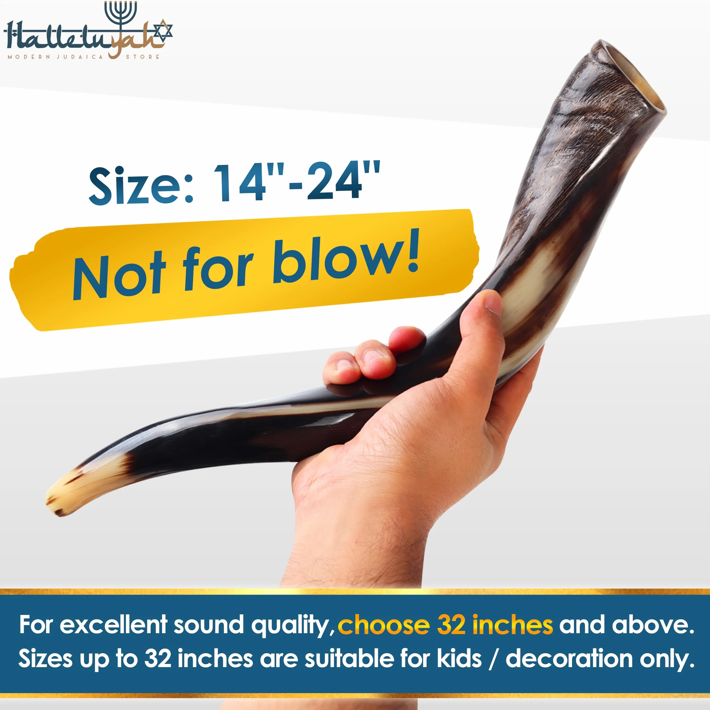 HalleluYAH Shofar kudu yemenita de Israel más cuerno de carnero gratis