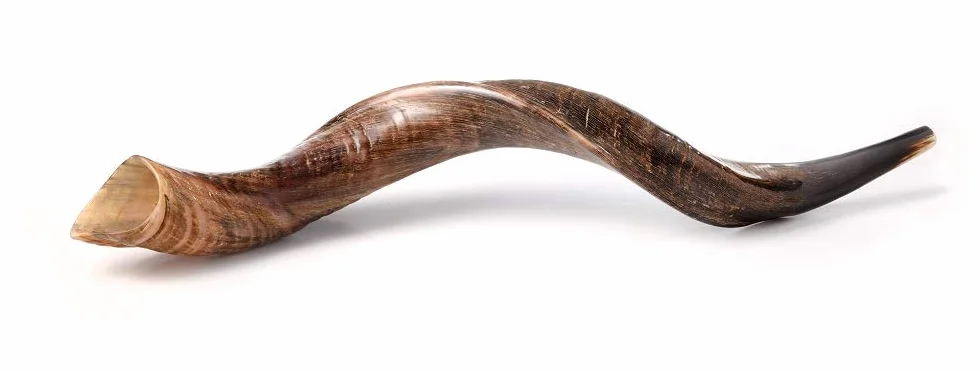 Shofar de cuerno de kudú yemení con spray antiolor gratuito, guía shofar de Israel (76-81 cm (30"-32 pulgadas)), natural)