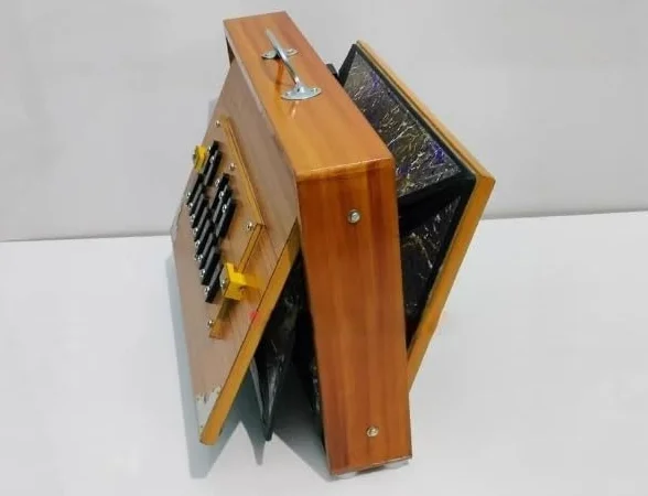 Shruti Box 15x10x3 Pulgadas, Madera Teca y Ply, 440Hz & 432Hz Sur Pete Con Pádel