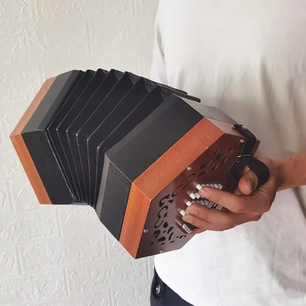 Concertina De Acordeón De 30 Botones, Sonido Más Suave Y Fascinante, Instrumento De Teclado De Nivel Básico, Excelente Regalo For Niños Amigos, con Bolsa De Transporte