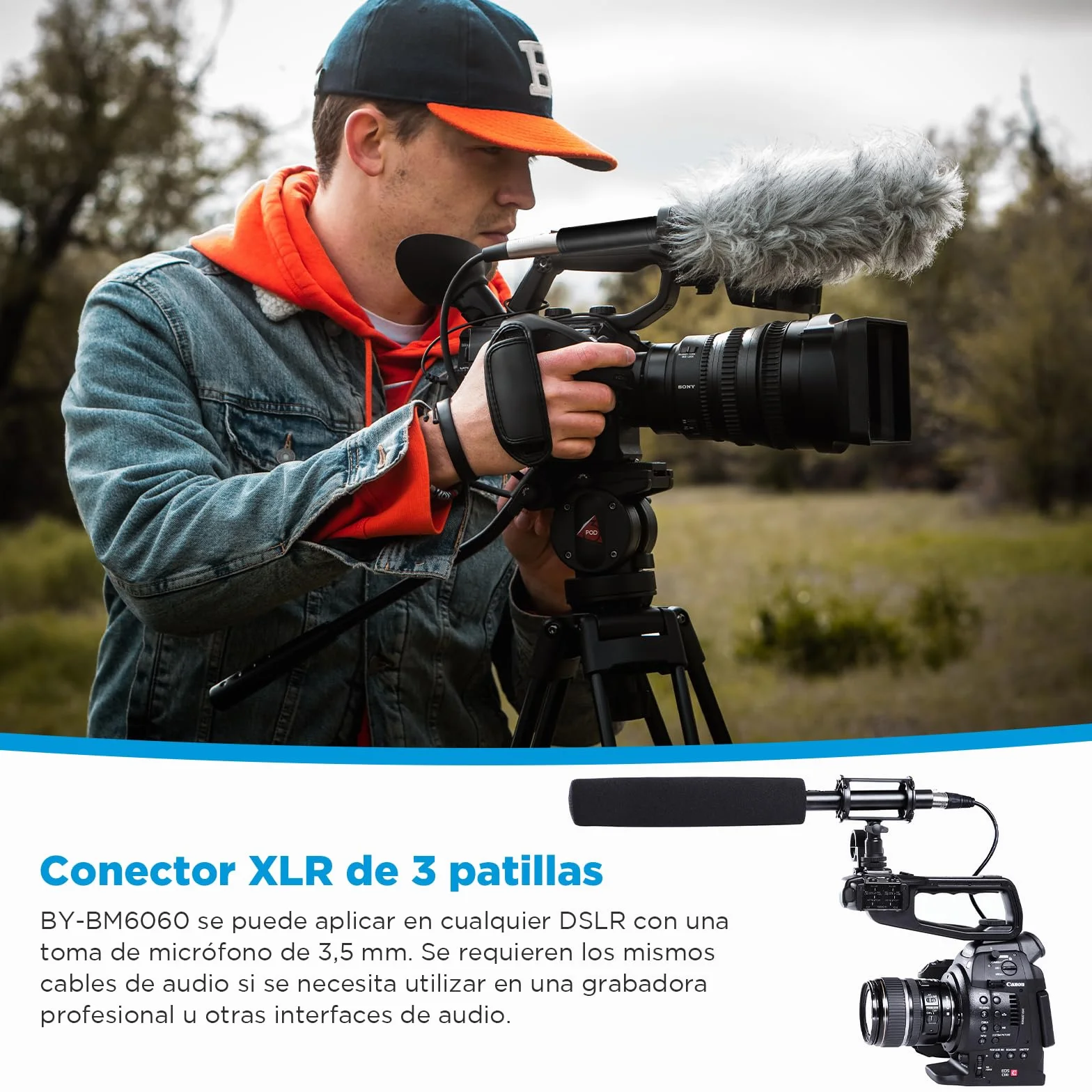 BOYA Micrófono XLR BY-BM6060, micrófono de Condensador con alimentación Fantasma de 24 V 48 V para cámara de vídeo, entrevista, grabación de programas de televisión.