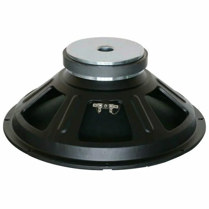 Skytec SP1000 - Woofer de 25 cm (10"), 300W máx., 4Ω, chasis Robusto, Ideal como Recambio para Altavoces de Graves Integrados o Montaje de Sistemas de Sonido Personalizados para Aficionados
