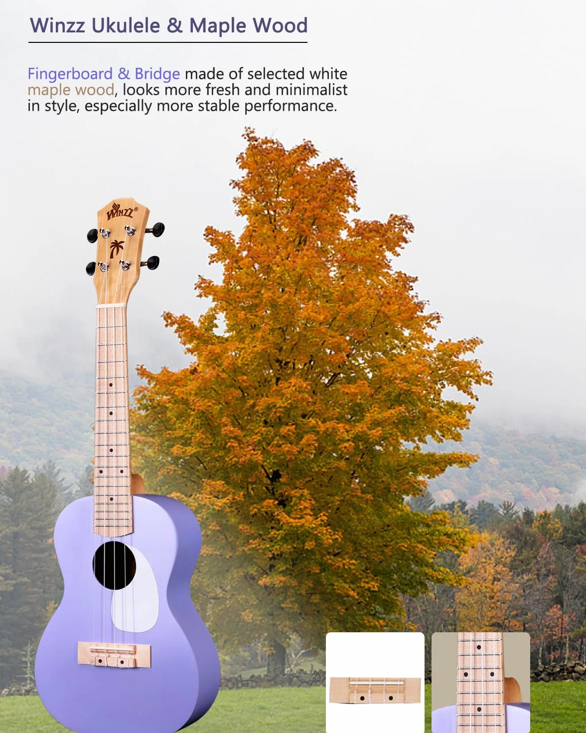 Winzz Ukelele Soprano Infantil, Ukelele Set para Niños y Adulto Principiante, con 9 Accesorios, 21 Pulgadas 4 Cuerdas (Color: Violeta, Madera)