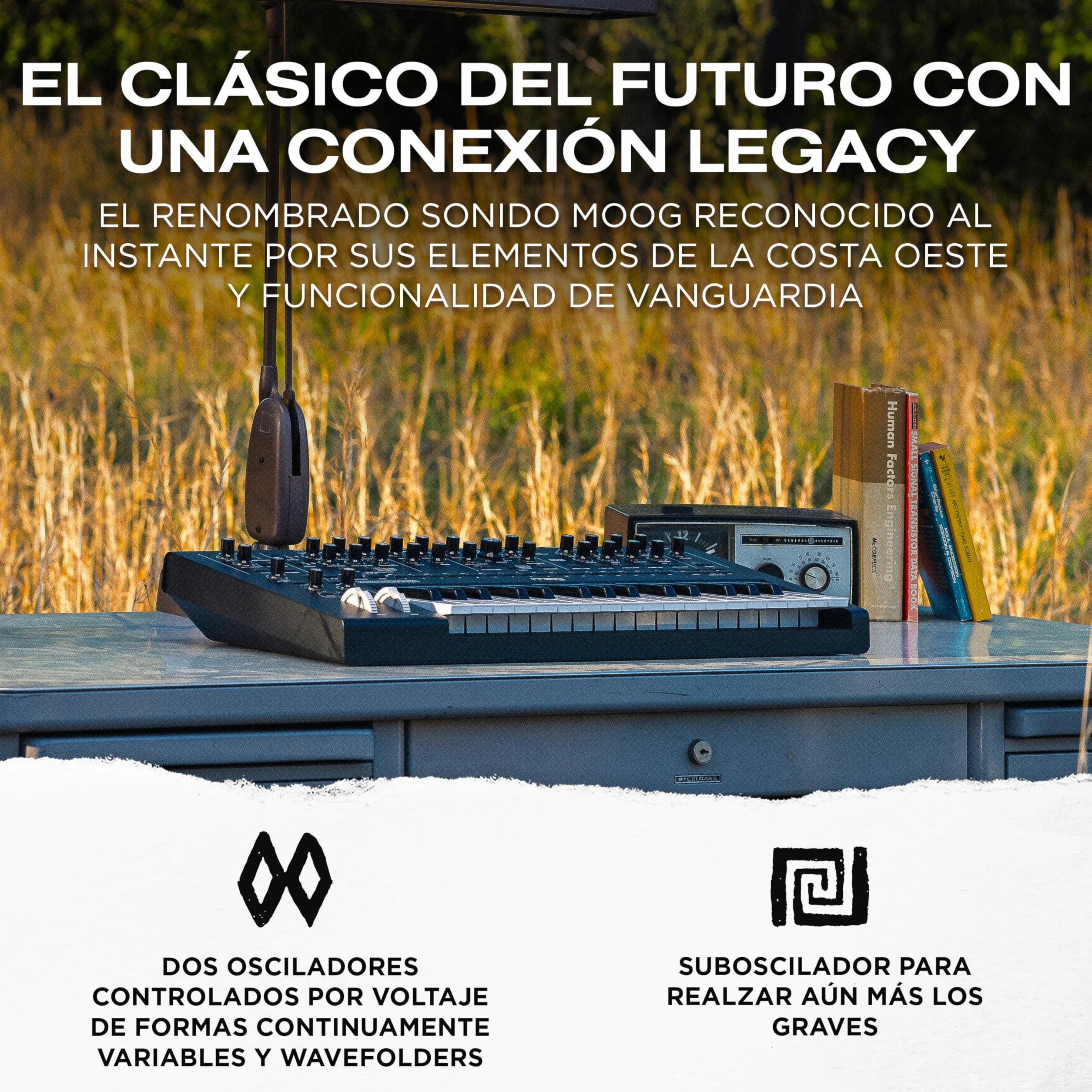 MOOG Messenger - Sintetizador de Teclado Monofónico Analógico Superavanzado, 32 Teclas, Secuenciador de 64 Pasos, 256 Presets y Compensación RES BASS