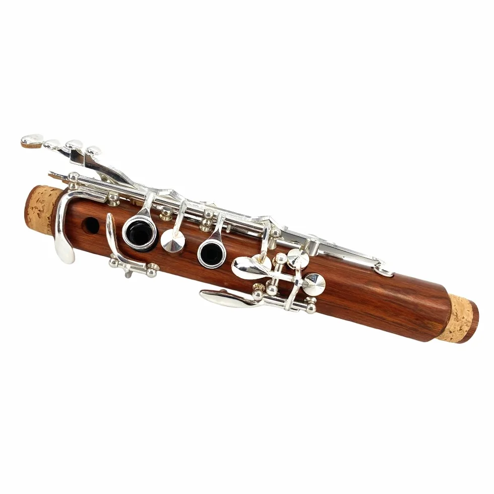 Clarinete de palisandro Bb con teclas plateadas, estuche duro y kit de cuidado con tono rico - Opción asequible para principiantes y estudiantes intermedios, óptima para entrenamiento de