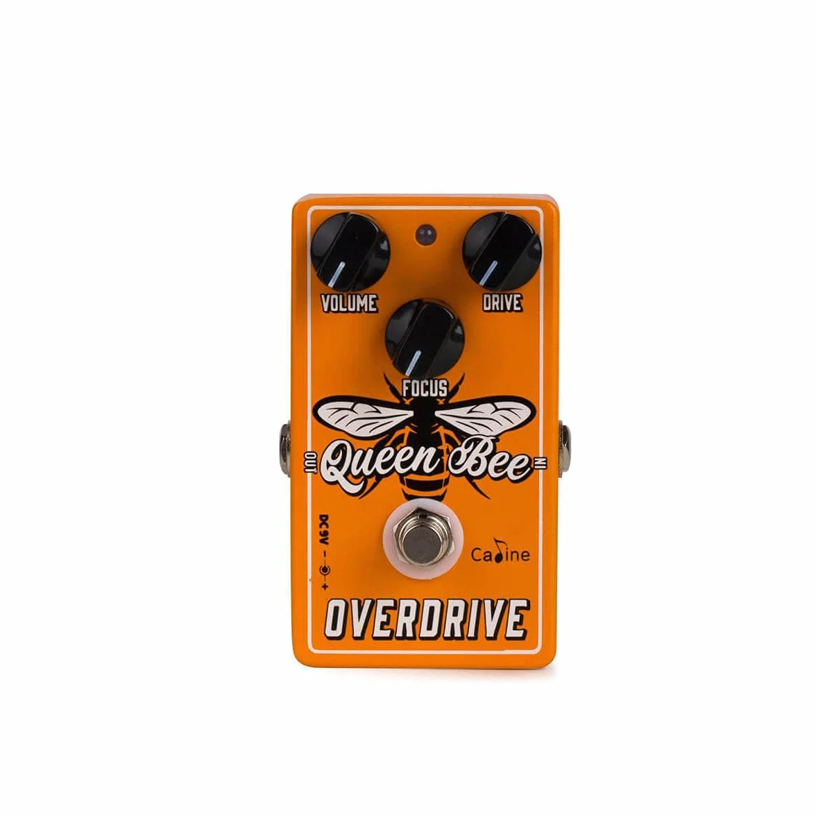 Caline CP-503 Queen Bee Overdrive Pedal