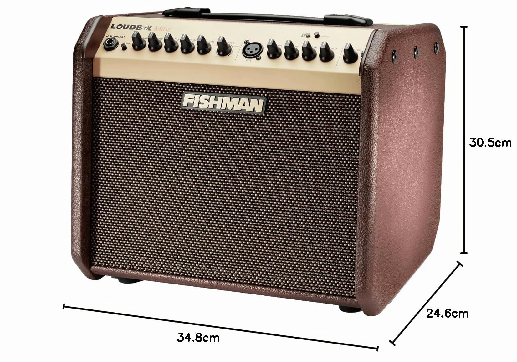 FISHMAN Verstärker Loudbox Mini, 60W, Bluetooth, 305 x 349 x 247mm, 8,90 kg