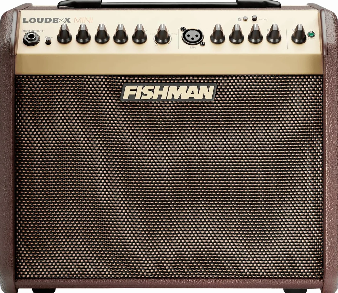 FISHMAN Verstärker Loudbox Mini, 60W, Bluetooth, 305 x 349 x 247mm, 8,90 kg