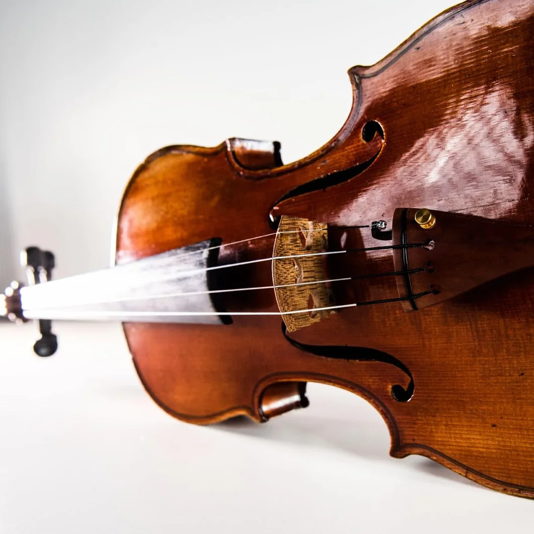 Thomastik Infeld Cuerdas para Violín Dominant Pro Set DP100