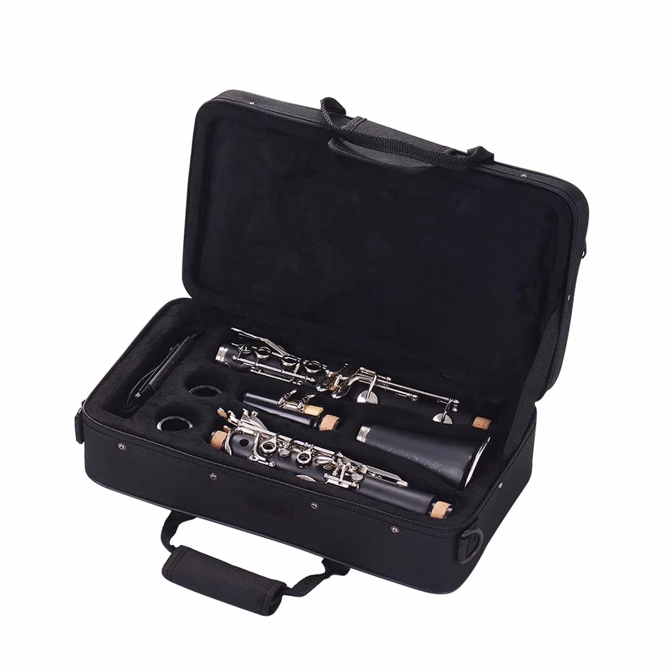 Clarinete ABS 17 llaves bB, clarinete binocular plano de soprano, incluye paños de limpieza y guantes, 10 cañas con estuche, destornillador, instrumento de viento de madera