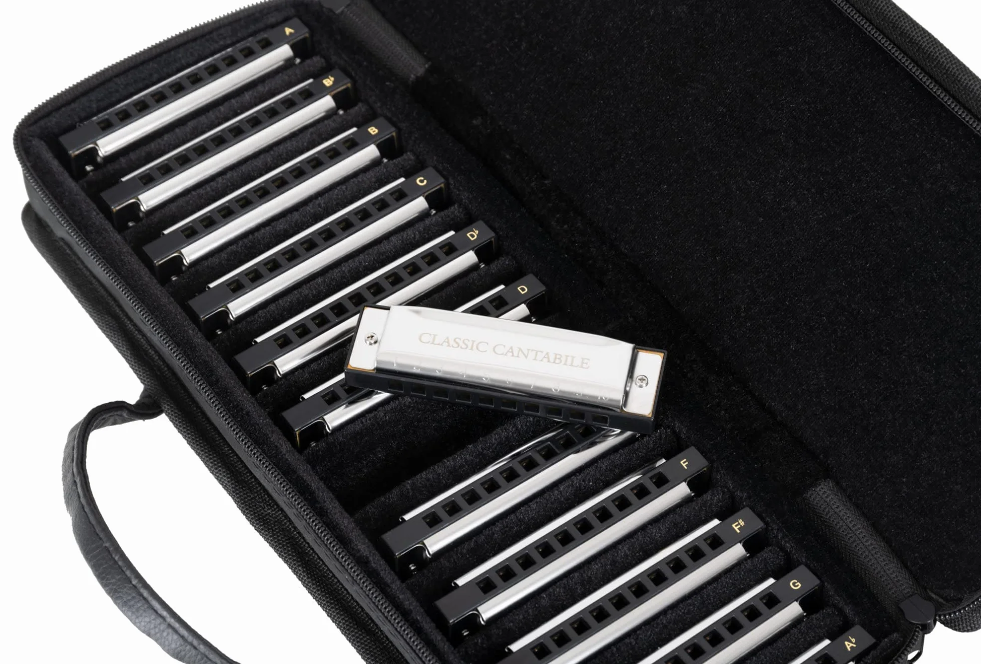 Classic Cantabile AHBS-12 Alabama Blues Harmonica Set De 12 Armónicas Diatónicas En Varias Tonalidades - 10 Lengüetas De Latón - Caja De Acero Inoxidable - Incluye Estuche Y Paño