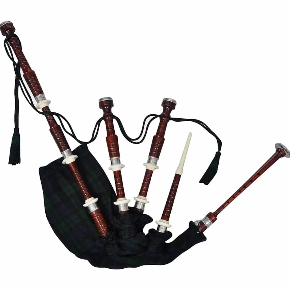 Genérico Gaita Escocesa de Las Highland Royal Steward Negro,Arte y Ocio,Hobbies y Artes Creativas,Instrumentos Musicales,Gaitas,Verde,1.98 KG,70044