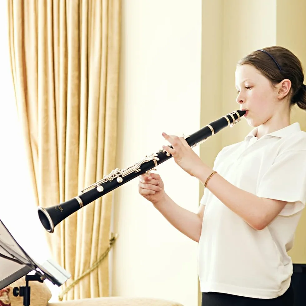 Vangoa B Flat Clarinet 17 llaves de níquel para principiantes, juego de clarinete para estudiantes con boquilla 4C, kit de limpieza, estuche rígido, soporte, 10 cañas y guantes, negro