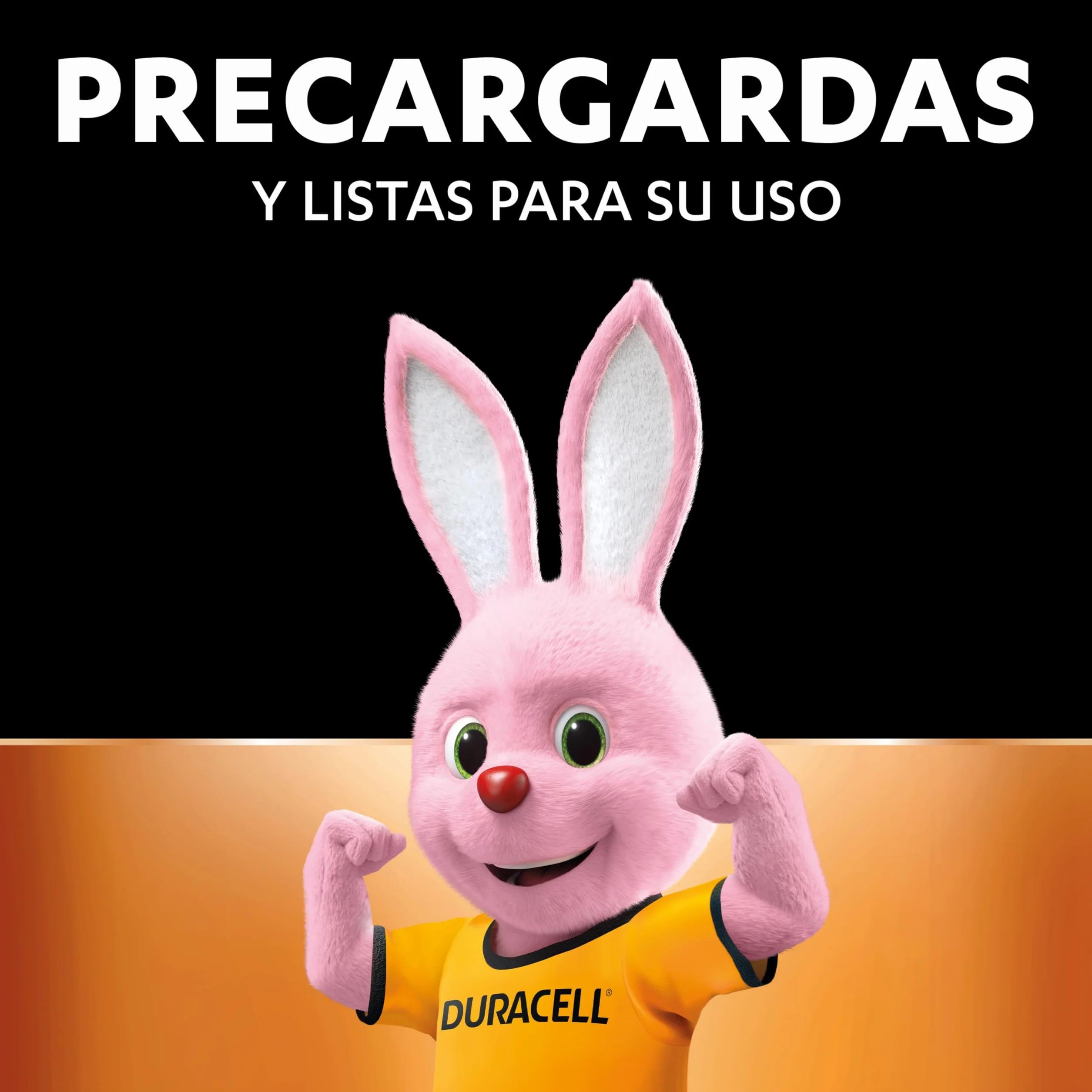 Duracell pilas recargables AA 2500 mAh NiMH Paquete de 4