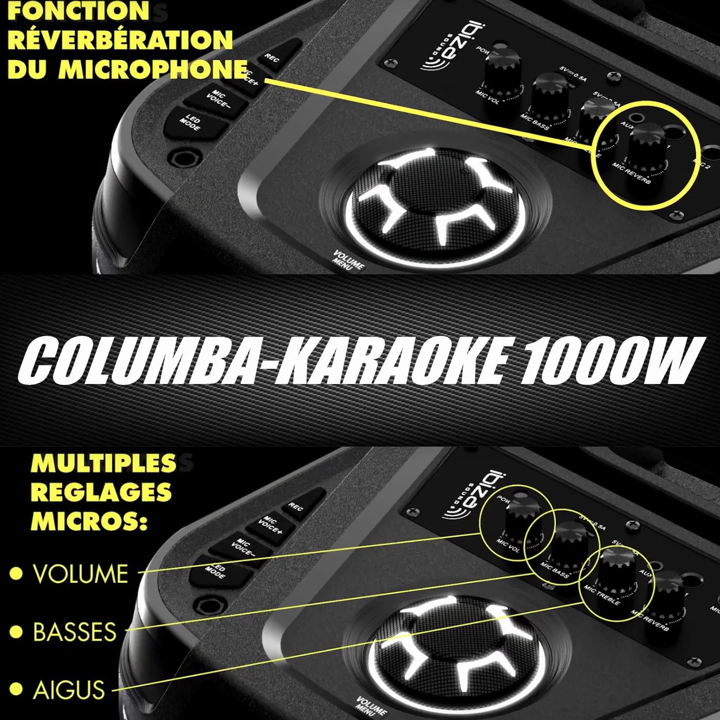 Ibiza Sound - Pack de altavoz Karaoke (1000 W, Bluetooth TWS, 1000 W, 2 micrófonos inalámbricos, 2 efectos de luz giratoria, noche