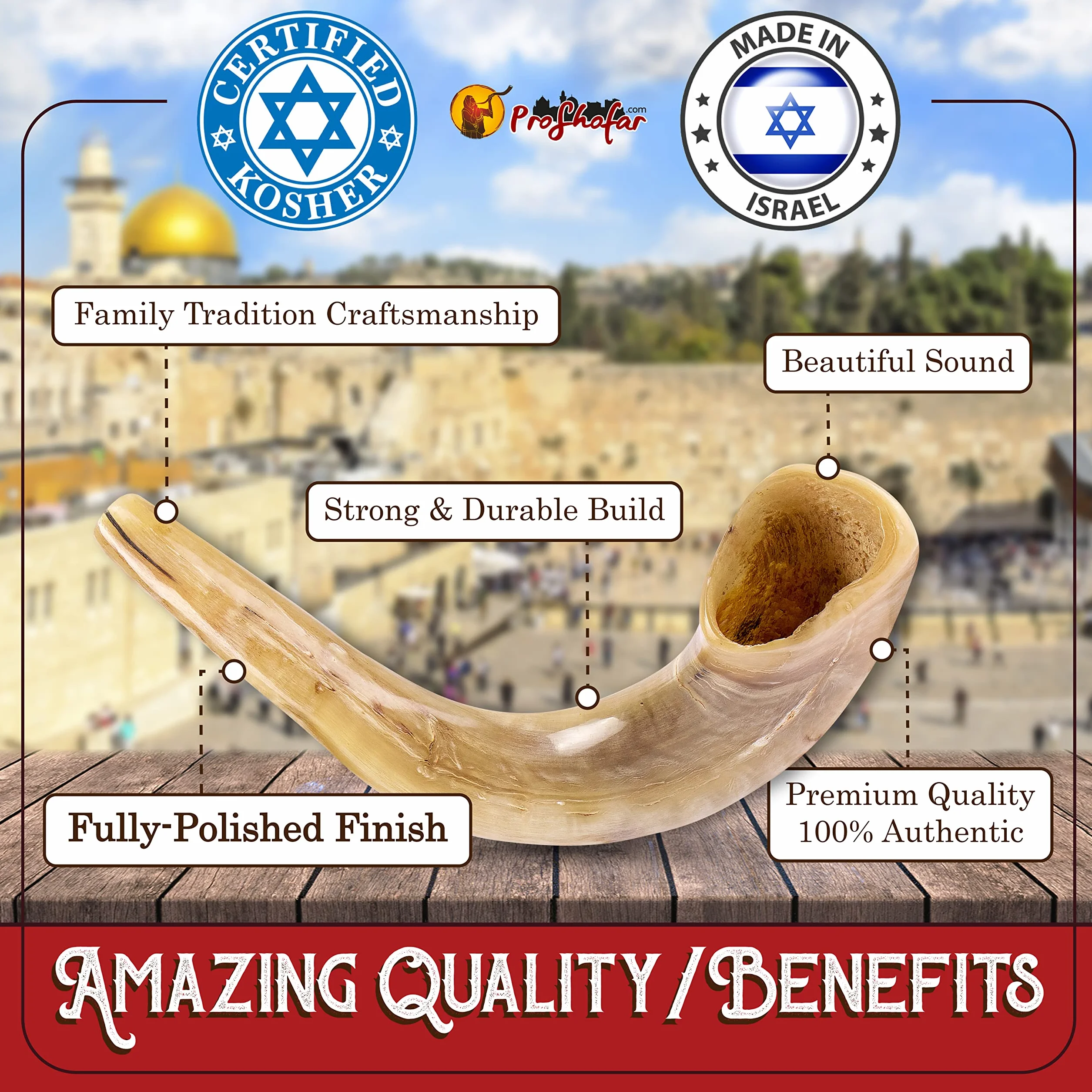 Shofar Set (bolsa de transporte de terciopelo, spray neutralizador de olores, cepillo de limpieza, guía y pulsera roja de Tierra Santa) Ram Shofar pulido, Kosher fabricado en Israel