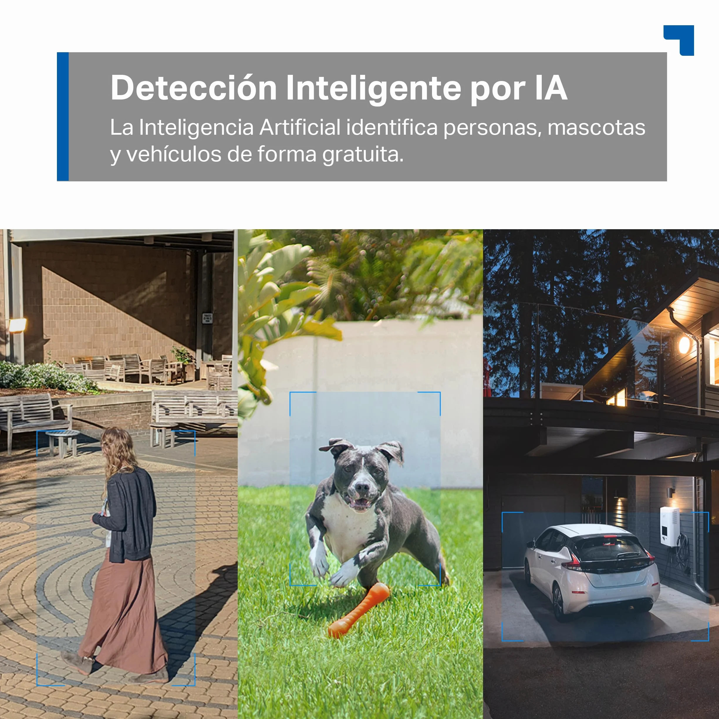 Tapo C520WS Cámara Vigilancia Wi-Fi Exterior 360° 2K QHD Visión Nocturna Color Starlight Detección IA IP66