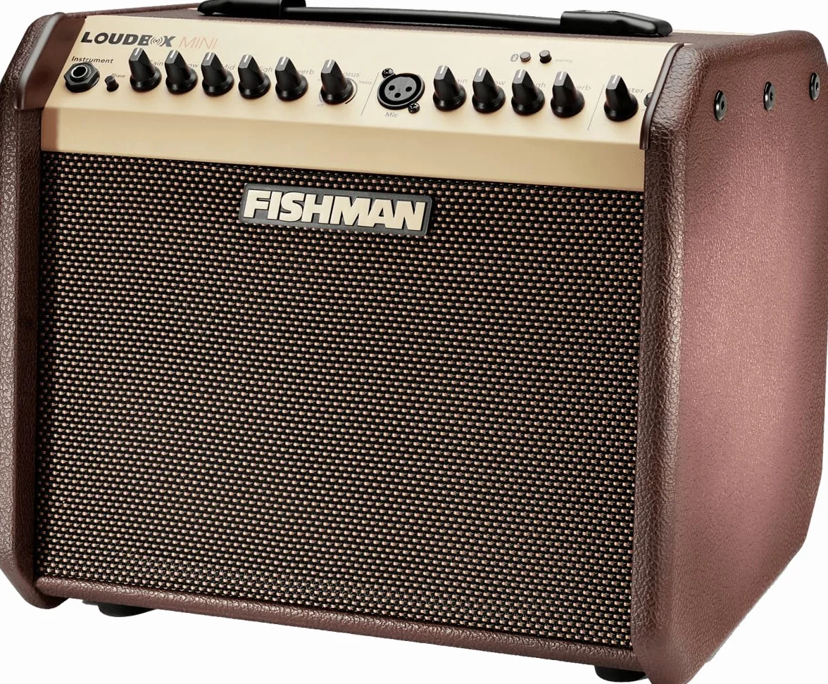 FISHMAN Verstärker Loudbox Mini, 60W, Bluetooth, 305 x 349 x 247mm, 8,90 kg